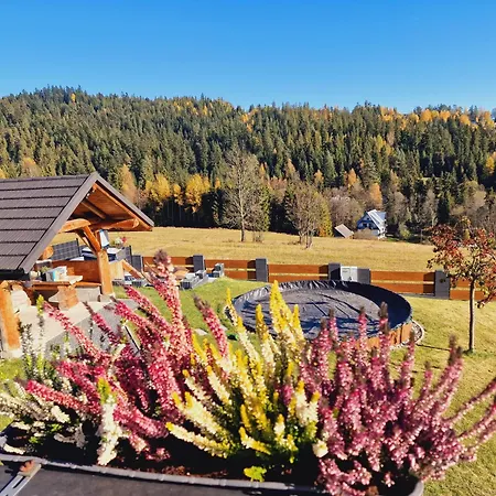 Deluxe Z Sauna I Jacuzzi- Blisko Zakopanego I Bialki Tatrzanskiej Ferienhaus